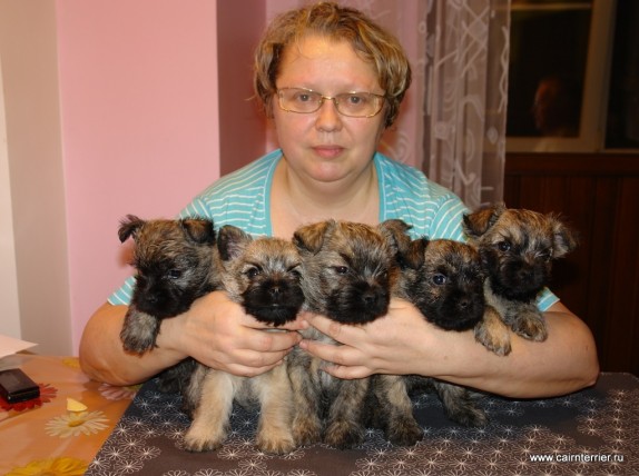 Фото владельца питомника Еливс с рыжими щенками на руках