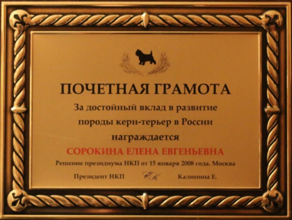 Фото почетной грамоты за развитие породы керн-терьер в России