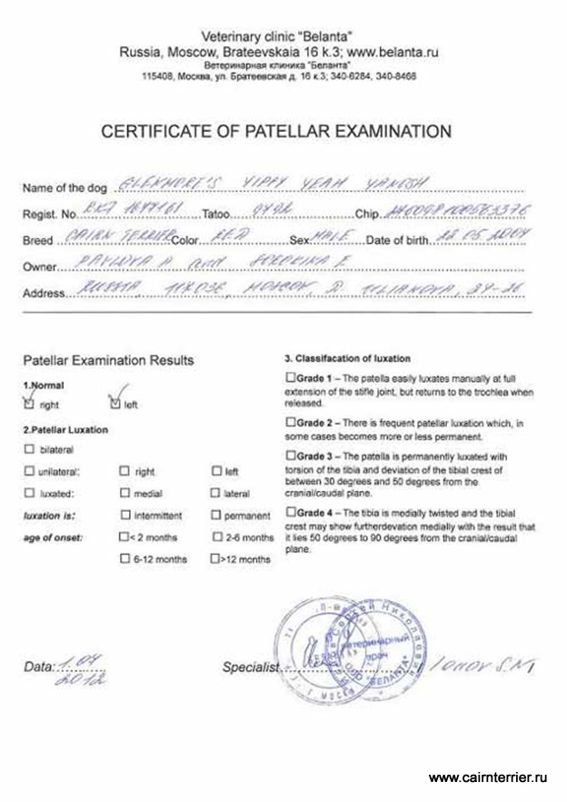 Медицинский сертификат Яноша