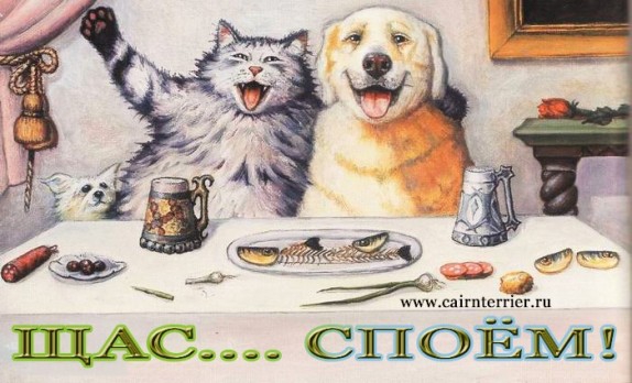Картинка кошка и собака пируют за столом
