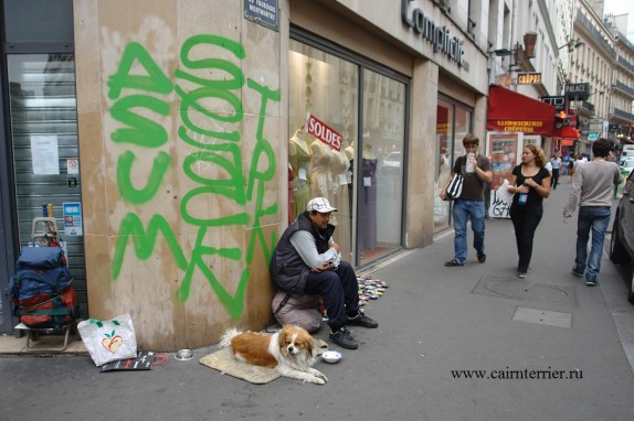 Фото собака просит милостыню вместе с человеком на улице