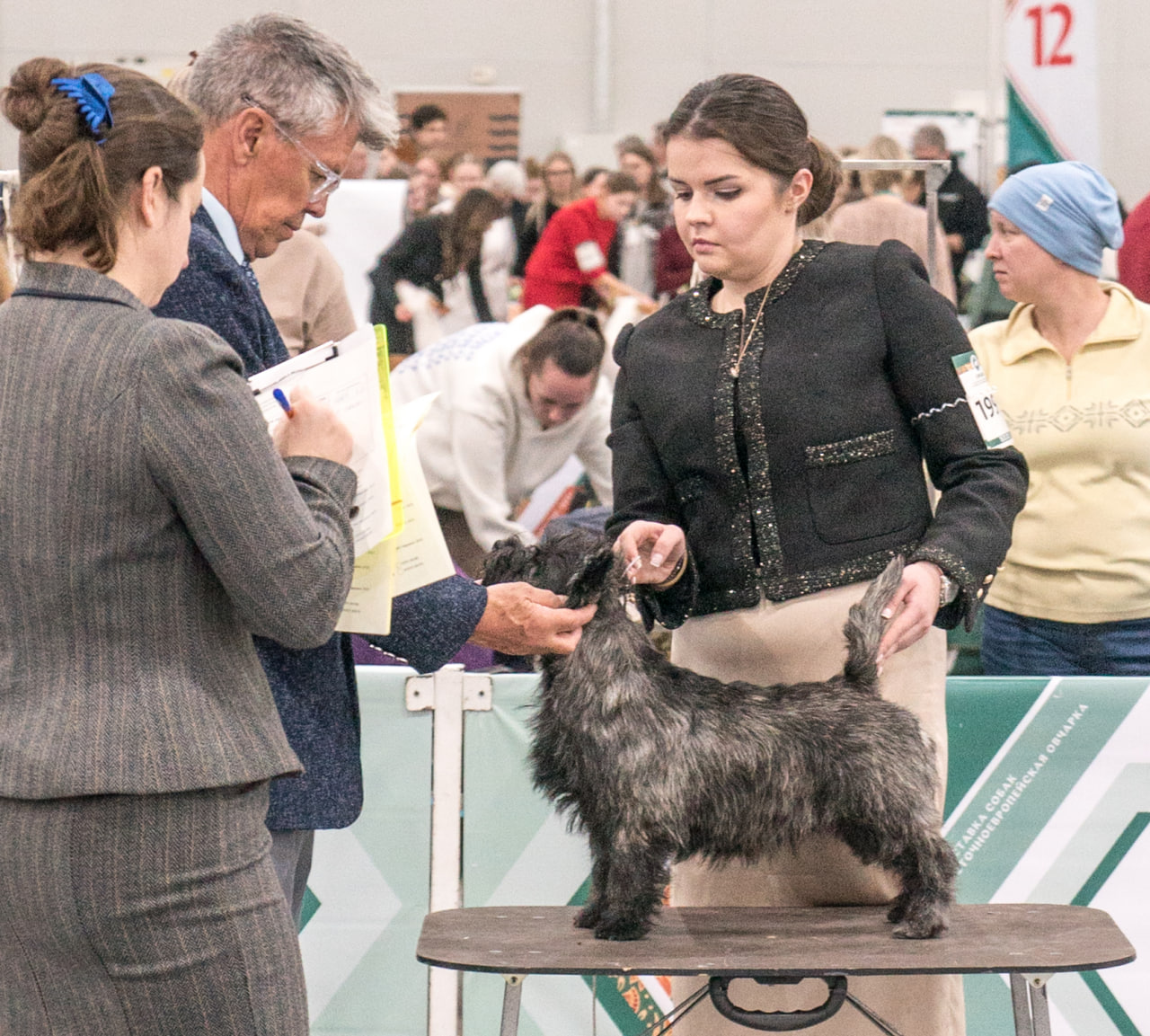 Eurasia 2025 Dark Night Dance Iz Doma Elivs