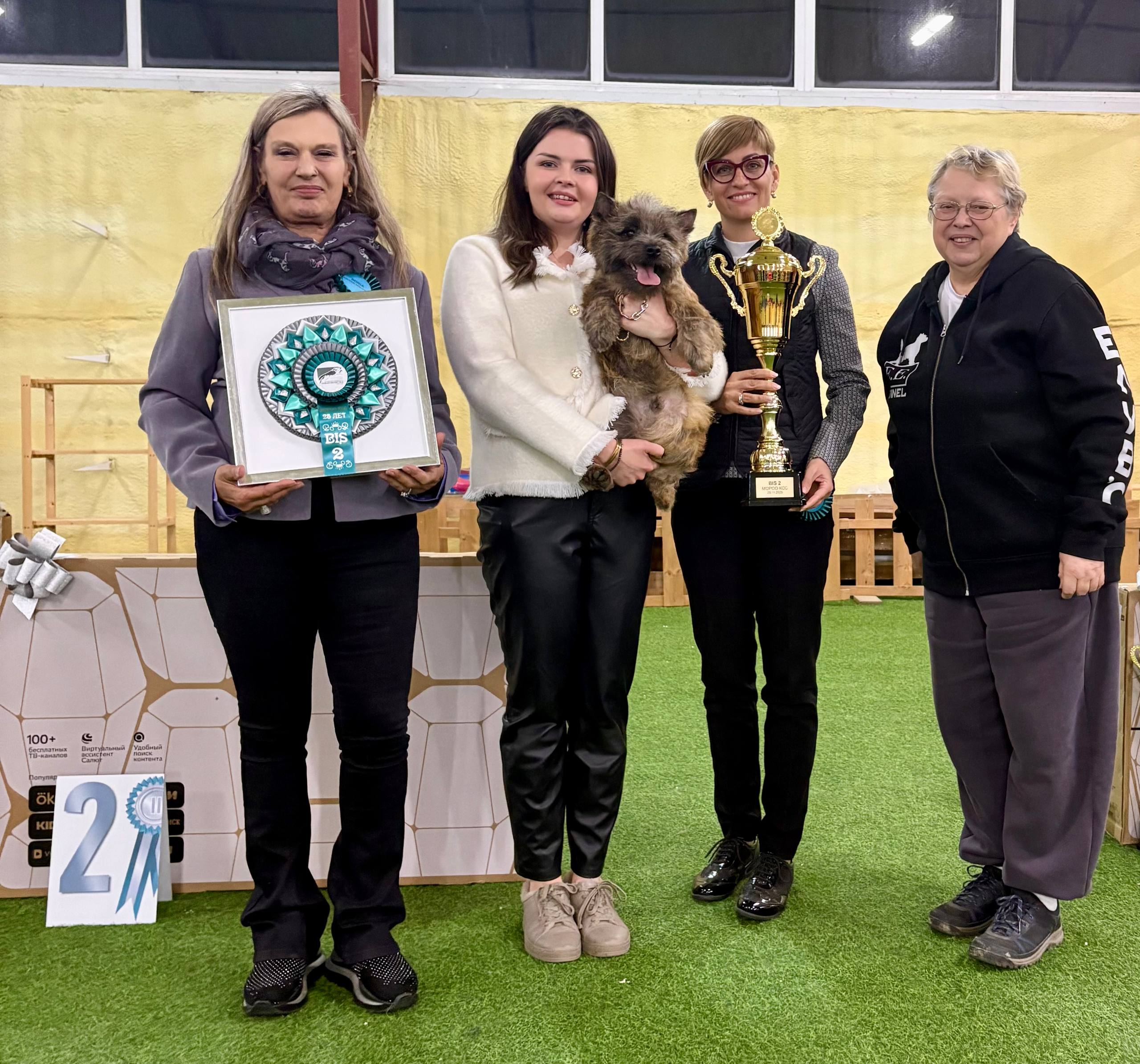 Cairn Terrier Glenmore's Savva