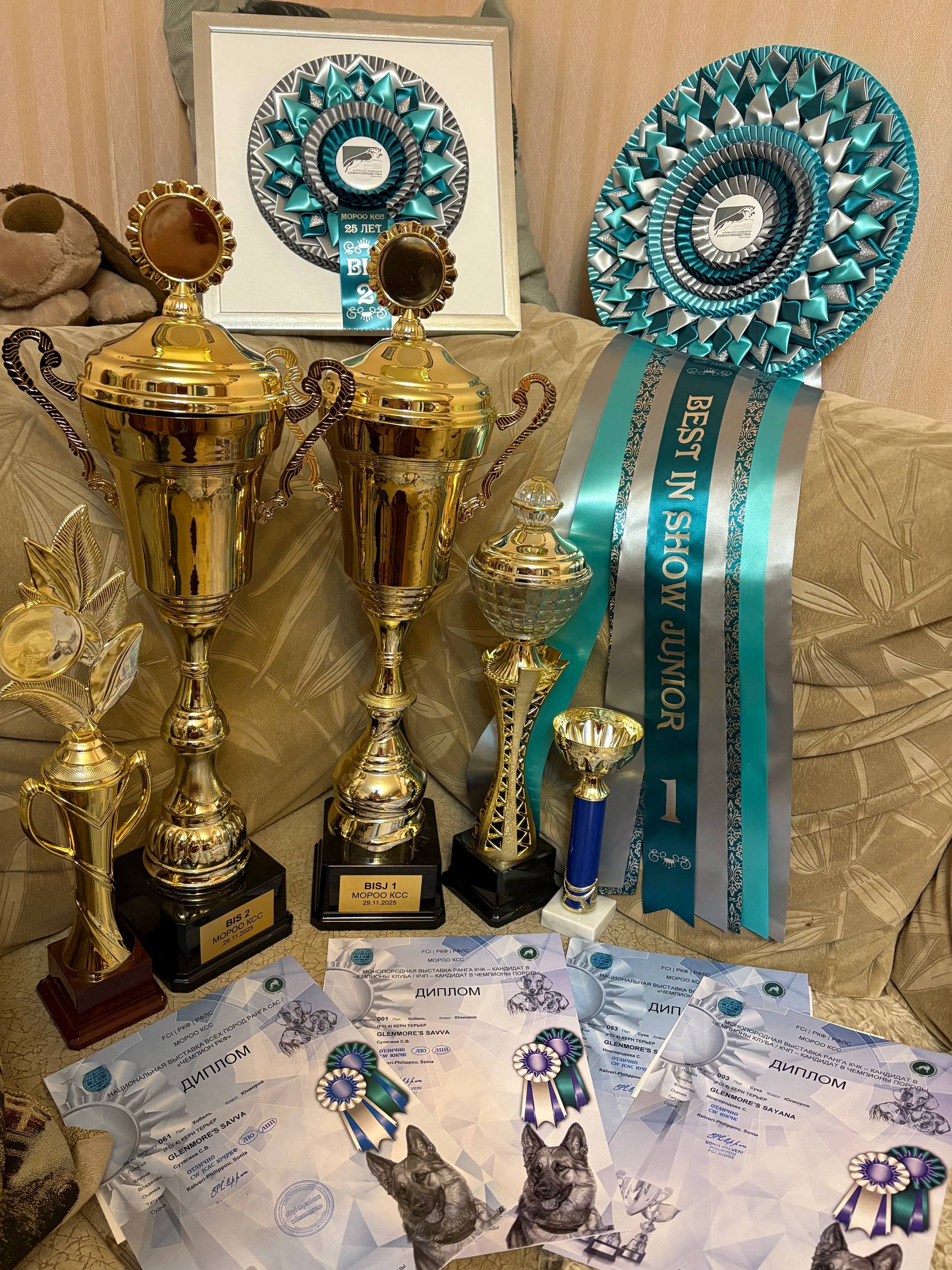 Награды керн терьера SAVVA