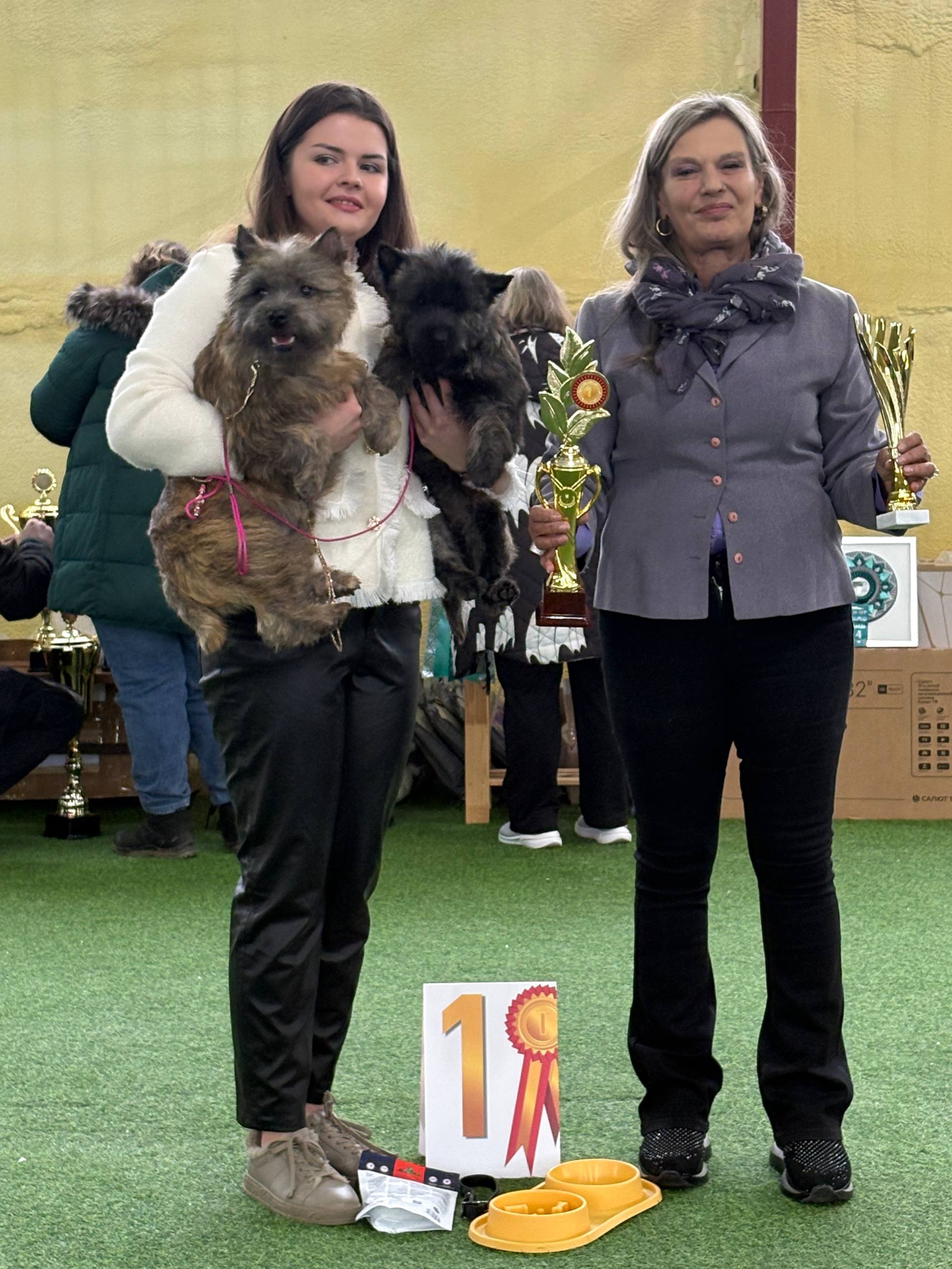Cairn Terriers Savva&Sayana