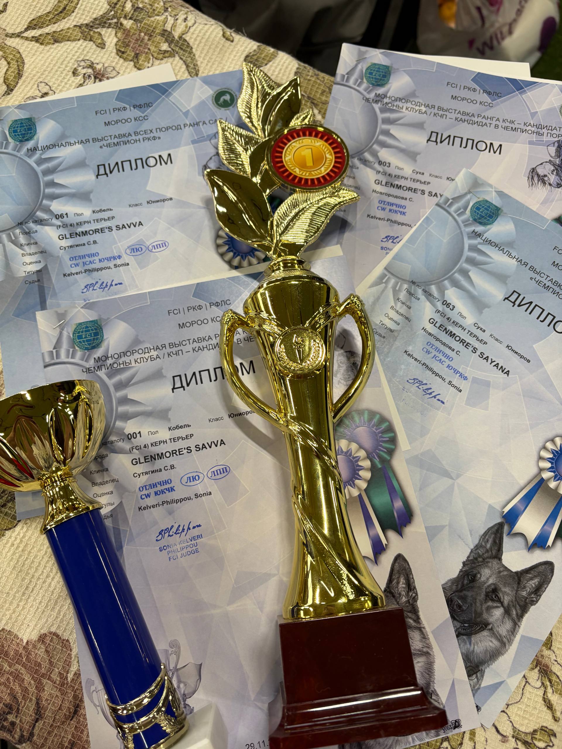 Cairn Terriers Savva&Sayana