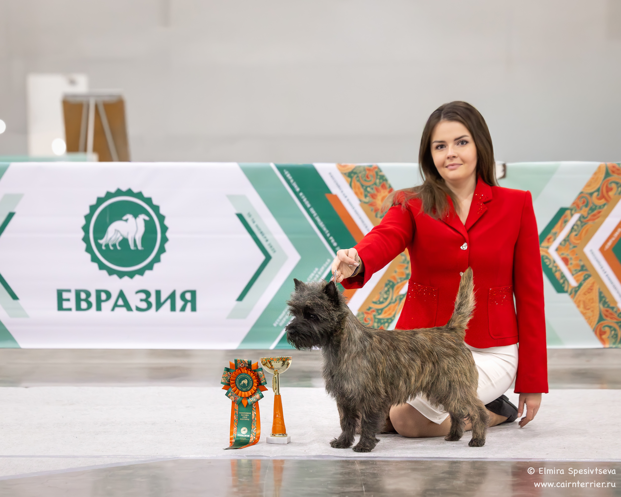 Eurasia 2025 Garland Iz Doma Elivs 