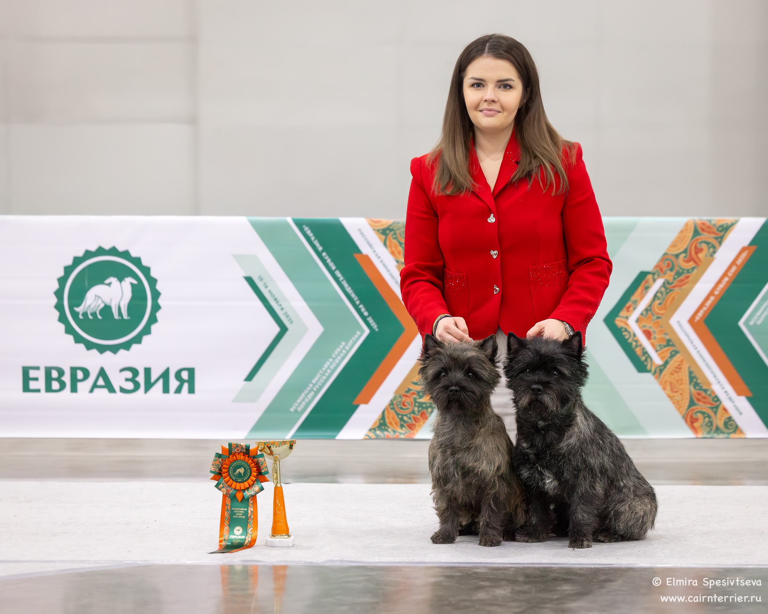Eurasia 2025 Garland & Yukon cairn terriers Iz Doma Elivs