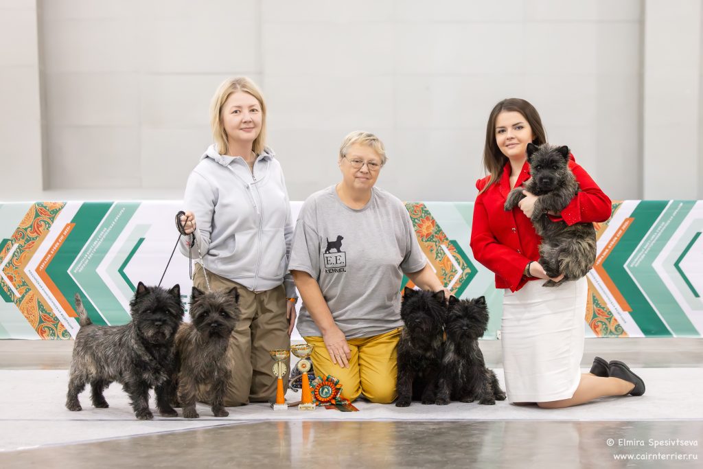 Eurasia 2025 kennel Iz Doma Elivs