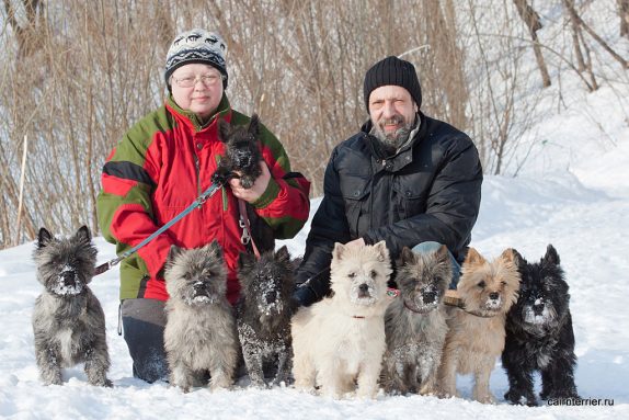 Фото керн терьеров питомника Еливс с владельцами на прогулке зимой в парке